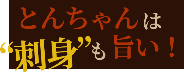 とんちゃんは“刺身”が旨い！